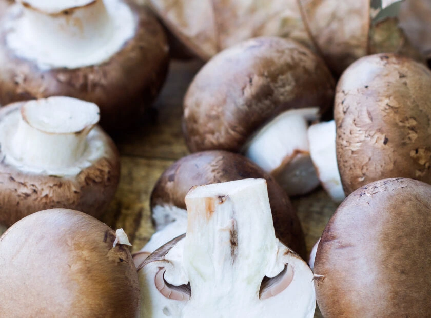 Royal Agaricus mushroom from Brazil — included in Cholibrium for cardiovascular health and blood pressure support