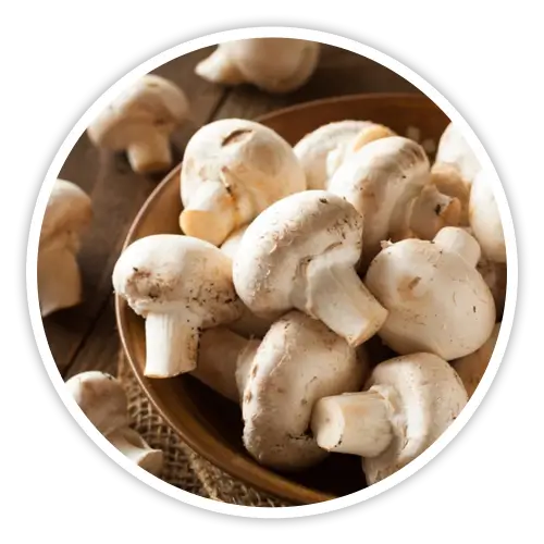White Button mushroom — included in Cholibrium for healthy cholesterol support through beta-glucans